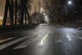 Pedestrian crossing on a night road Royalty Free Stock Photo