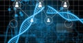 Image of people icons, connections and data processing over dna stands and binary coding Royalty Free Stock Photo