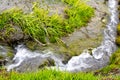 Lush Greenery at Reykjadalur Hot Spring Thermal River, Iceland: A Harmony of Heat and Nature Royalty Free Stock Photo