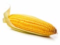 Vivid Solitude: An Ear of Corn Isolated in Pristine White Background Royalty Free Stock Photo