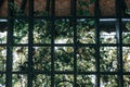 Through the pergola garden covered with green foliage and backlight effect