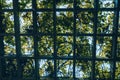 Through the pergola garden covered with green foliage and backlight effect