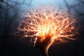 an image of a person holding a glowing head with fire coming out of it Royalty Free Stock Photo