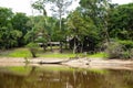 Image in Peruvian jungle, close to amazon river. Calm water, trees, wood.