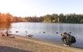 Photographer taking pictures of birds