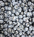 Image from Picture , Blueberries in a box waiting to be sold