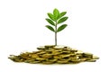 Image of pile of coins with plant on top for business, saving, growth, economic concept Royalty Free Stock Photo