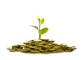 Image of pile of coins with plant on top for business, saving, growth, economic concept