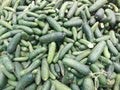 Image of pile of cucumbers Royalty Free Stock Photo
