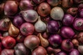 Image Pile of fresh red onions, shallots, organic produce display