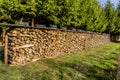 Image of piles of wood with a foil roof and tires on top in a meadow