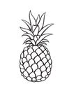 Image of pineapple fruit