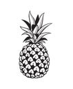 Image of pineapple fruit