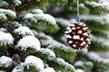 Pinecone Hanging on a Snow Covered Fir Tree Branch in Winter Close Up made with Generative AI Royalty Free Stock Photo