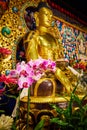 Pink orchids inside Tibetan Mongolian Buddhist shrine with golden statues