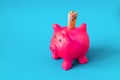 pink papier mache piggy bank with 50 Euros Royalty Free Stock Photo