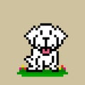 Image of a pixel white puppy