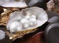 Image placer pearls in a shell Royalty Free Stock Photo