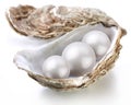 Image placer pearls in a shell on a white Royalty Free Stock Photo