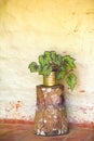 Image of a plant inside a pot resting on a throne