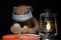 Image of plush bear book lamp