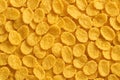 Golden cornflakes scattered closely to create a crispy breakfast texture background Royalty Free Stock Photo