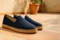 Navy Blue Espadrilles. Casual Summer Footwear Royalty Free Stock Photo