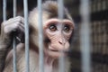 Image of poor little monkey locked in a cage. Wildlife Animals. Illustration, Generative AI