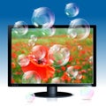 Image of poppy on lcd monitor with soap bubbles