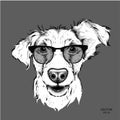 Image Portrait bulldog in the cravat and with glasses. Vector illustration.