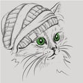 Image Portrait cat in the hat. Vector illustration.