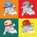 Image Portrait of eagle in a baseball cap with glasses. Royalty Free Stock Photo