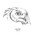 Image Portrait owl. African / indian / totem / tattoo design. Use for print, posters, t-shirts. Hand draw illustration
