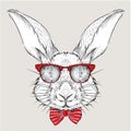 Image Portrait rabbit in the cravat and with glasses. Hand draw vector illustration.