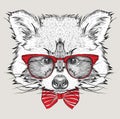 Image Portrait raccoon in the cravat and with glasses. Hand draw vector illustration. Royalty Free Stock Photo