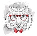 Image Portrait tiger in the cravat and with glasses. Hand draw vector illustration.