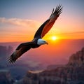 The image portrays a majestic bald eagle gliding elegantly through a colorful sunset sky. Royalty Free Stock Photo