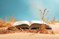 open bible laying on sand and with wheat. blue sky. opened book.