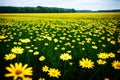 Daisy field landscape generated by ai