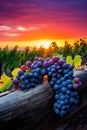 Grape Clusters Close-Up. rustic wood. vibrant sunset.