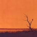 A Solitary Bird in an Abandoned Landscape - Adobe Stock Image Royalty Free Stock Photo