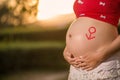 Image of pregnant woman touching her belly with hands Royalty Free Stock Photo