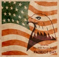 Bald eagle symbol of North America on grunge background with USA flag. Royalty Free Stock Photo