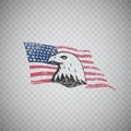 Bald eagle symbol of North America on grunge background with USA Royalty Free Stock Photo