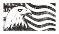 Bald eagle symbol of North America on grunge background with USA flag.