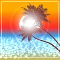 Evening sunset in tropics a illustration. Royalty Free Stock Photo