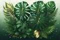 Image presenting a floral arrangement of tropical green leaves from Monstera, fern, and Eucalyptus plants, enhanced with gold