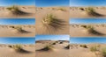 Abstract Desert Sand Pattern CollageBackground Royalty Free Stock Photo