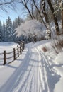 beautiful winter forest scenery with footpath ai generated