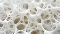 A close-up view of a white, porous, and interconnected network. Royalty Free Stock Photo